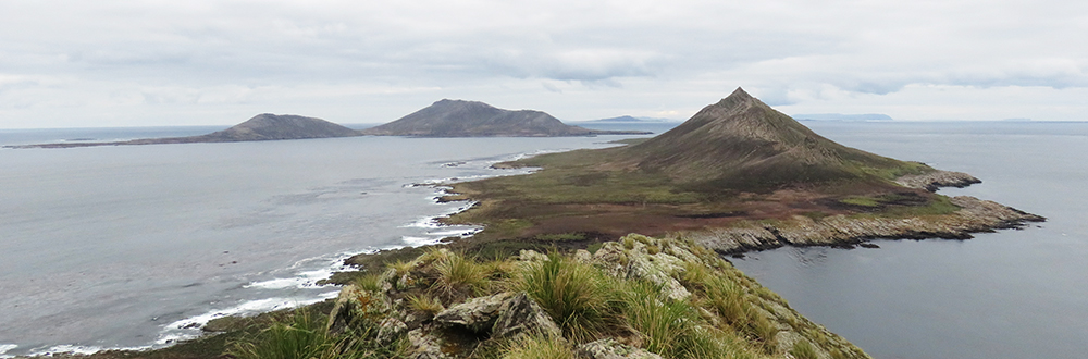 JASON ISLANDS (Islas Sebaldes) Falkland Islands